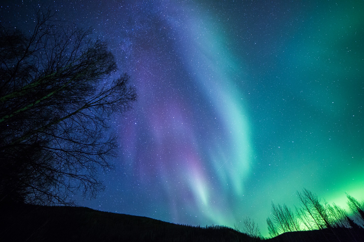 Lo spettacolo dell'aurora boreale in Alaska Condé Nast Live!